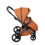 Коляска 2 в 1 Anex l/type