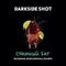 DARKSIDE SHOT - Столичный Бит (30г)