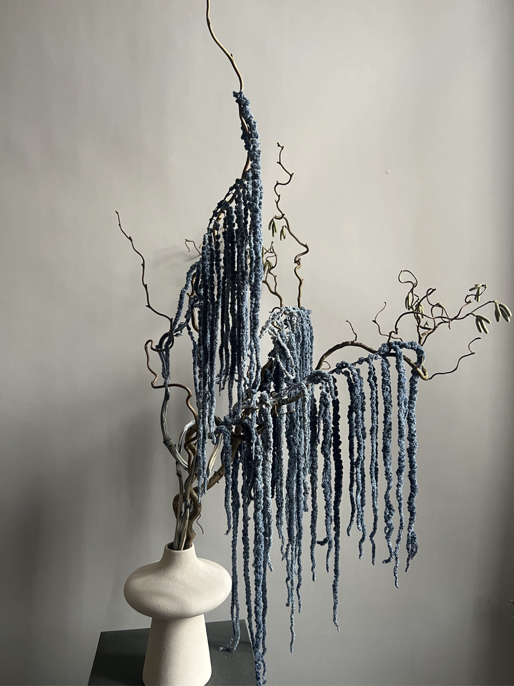 Амарант стабилизированный серый