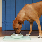 Коврик под миску Zee.Mat SAGE Zee.Dog