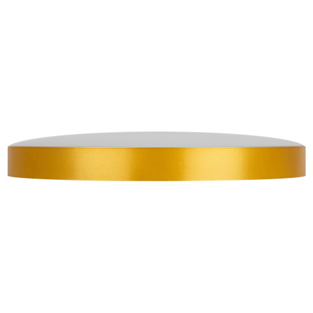 Светильник потолочный светодиодный ЭРА Relict 48 Pult SPB-6-60-RC MG с ДУ 60Вт 3000-6500К Золото