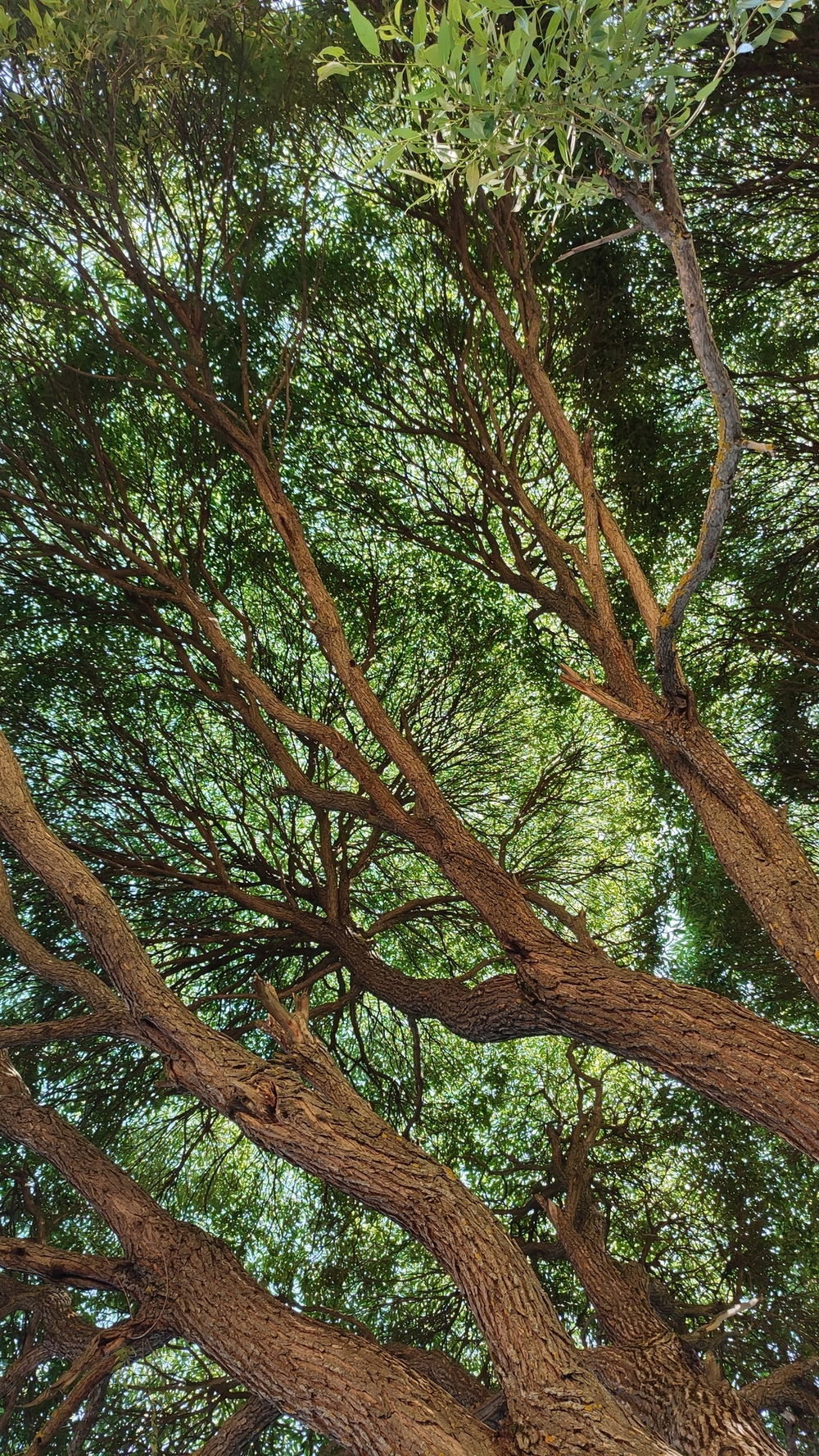 тестовый товар