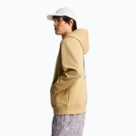 Худи The North Face Mountain Celebration Relaxed Hoodie khaki stone