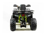 Квадроцикл MOTOLAND 200 Wild Track Pro