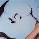Anna Netrebko / Amata Dalle Tenebre (2LP)
