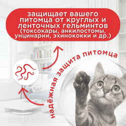 Суспензия от гельминтов для кошек, сладкий вкус Чистотел Глистогон, 5мл. Пирантел/Празиквантел