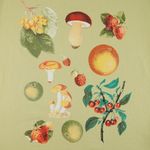  Футболка мужская Obey Fruits & Mushrooms артикул:166912677 - купить в магазине Дайс
