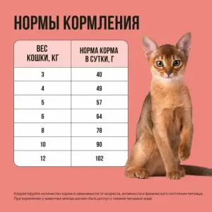 Уценка! Повр.упак./ Сухой корм BOWL WOW для стерилизованных кошек с лососем, белой рыбой и брокколи