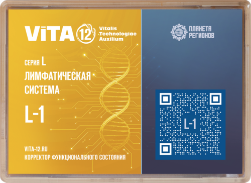 КФС 12 Элементов L-1 серии "Лимфатическая система"