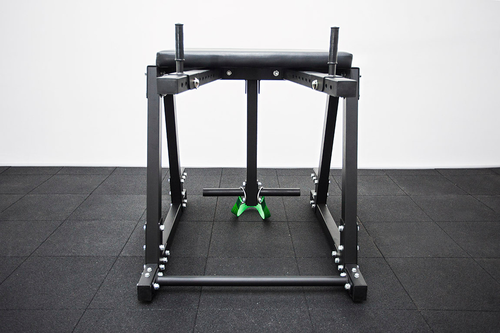 Обратная экстензия (Reverse Hyper)