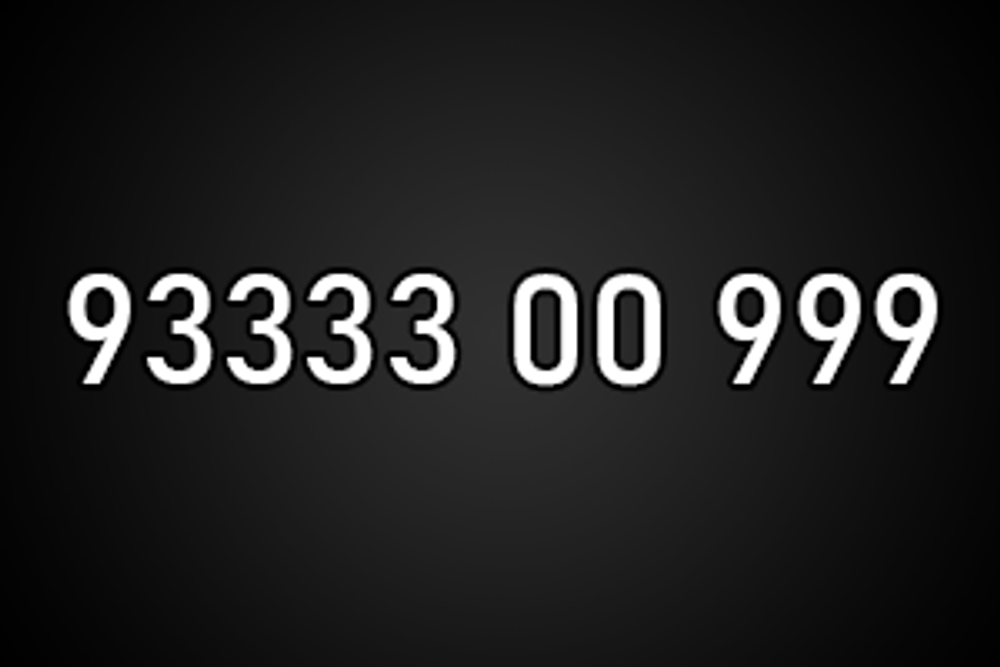 9333300999