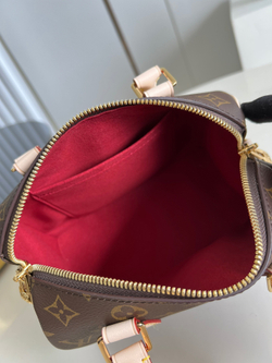 Louis Vuitton Speedy 20