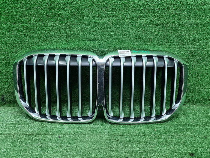 Решетка радиатора BMW X7 G07 (2019-2022)