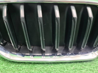 Решетка радиатора BMW 5er G30 (2020-2023)