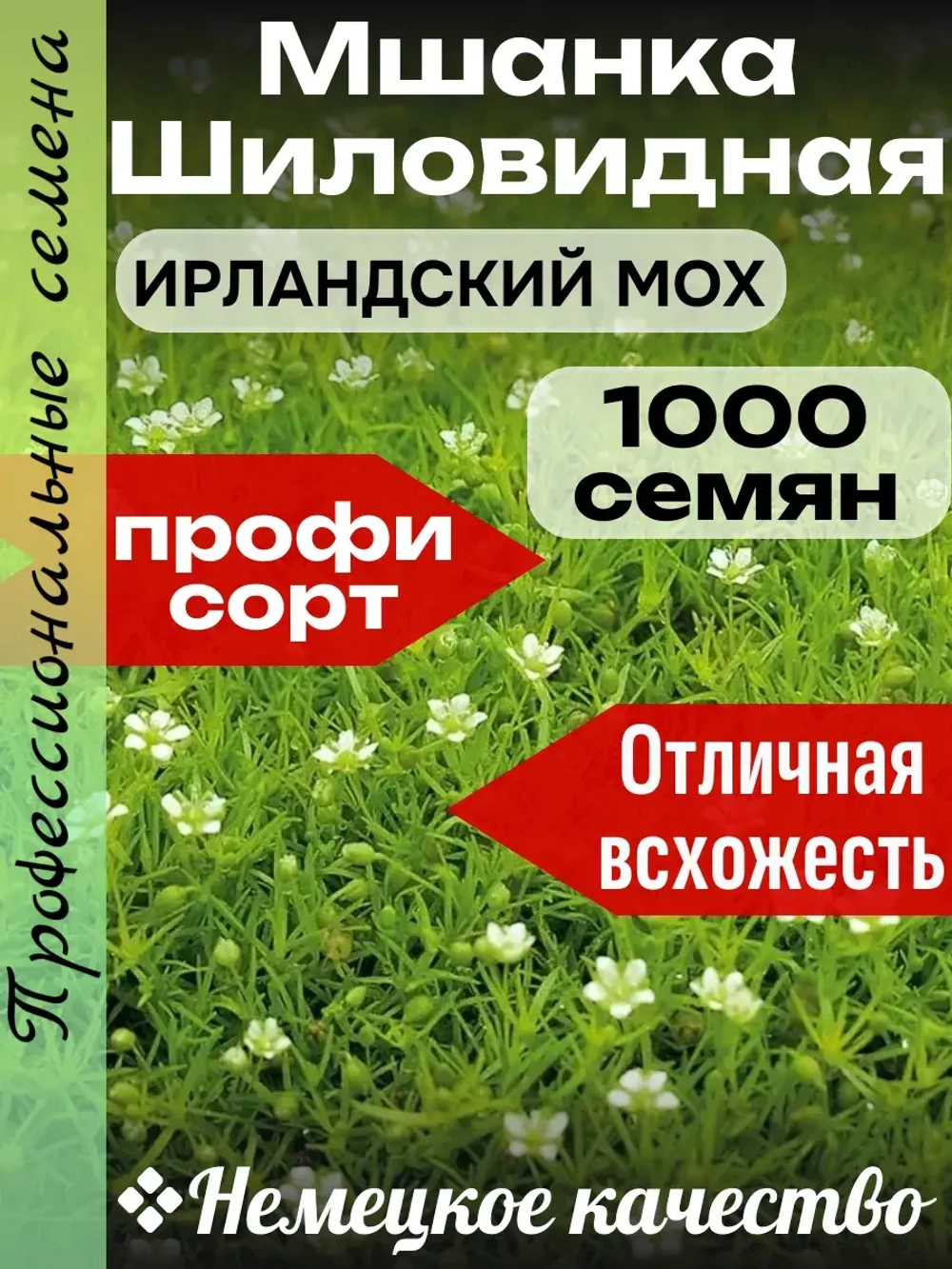 Семена Мшанка Шиловидная (Ирландский мох) 1000 шт