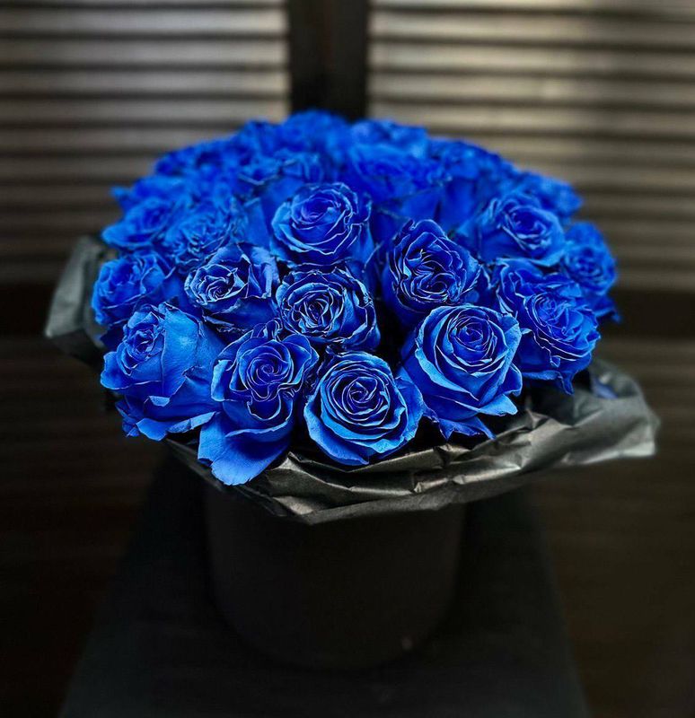 Букет из 25 синих эквадорских роз 60 см в упаковке #4454