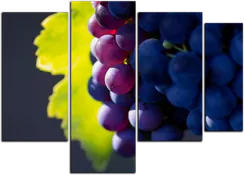 Модульная картина "Черный виноград"