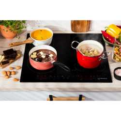 Индукционная панель Hansa BHI68621