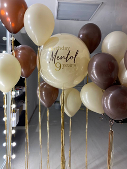 Набор воздушных шаров на день рождения компании №2017