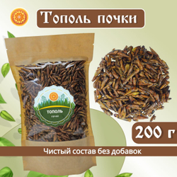 Тополь черный почки.