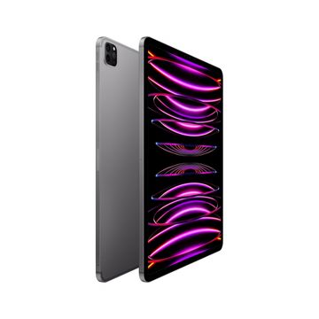 Apple iPad Pro (2022) 11" Wi-Fi + Cellular 2 ТБ, «серый космос»