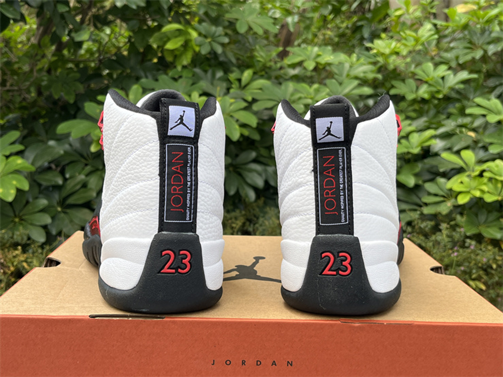 Air Jordan 12  CT8013-162