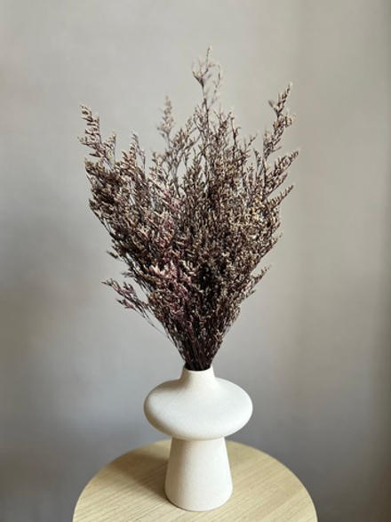 Кермек бело-фиолетовый