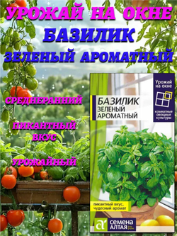 Зелень Базилик Зеленый Ароматный (0,3гр). Семена Алтая