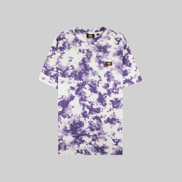 Футболка мужская Dickies Sunburg артикул:DK0A4X9PB651 - купить в магазине Дайс