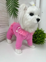 Трикотажный комбинезон для собак и кошек