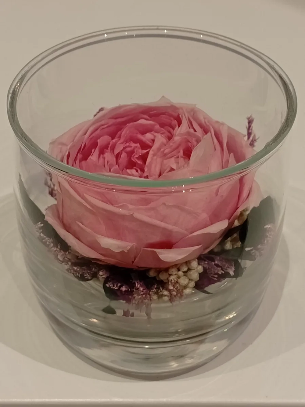 натуральный пион в стекле, вакуум*