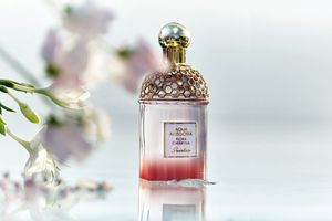 Guerlain Aqua Allegoria Flora Cherrysia