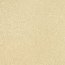 Искусственная кожа Denkart Padova plus (Денкарт Падова плюс) 13902