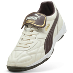 Мужские кроссовки PUMA King Indoor