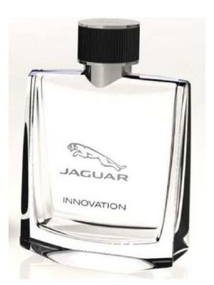 Jaguar Innovation