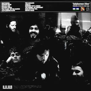 Fleet Foxes / Helplessness Blues (2LP)