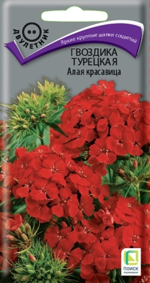 Гвоздика (бородатая) Турецкая Алая красавица 0,5гр Поиск