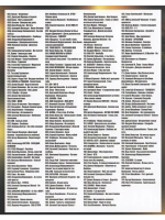 Дорожное 200 русских в дорогу