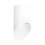 Накладной светильник Lightstar Rullo R348686