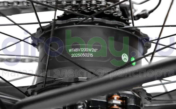 Электровелосипед ARMELONA AR-5 1200W (48V/20Ah) фото №13