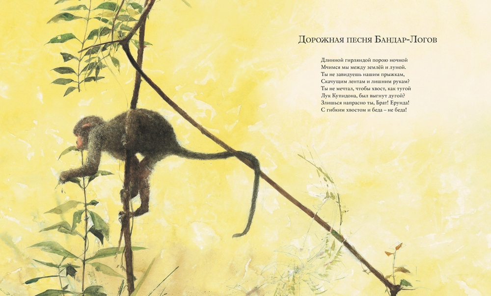 Книга джунглей