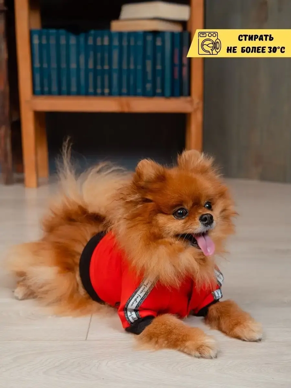 Спортивный комбинезон костюм для собак