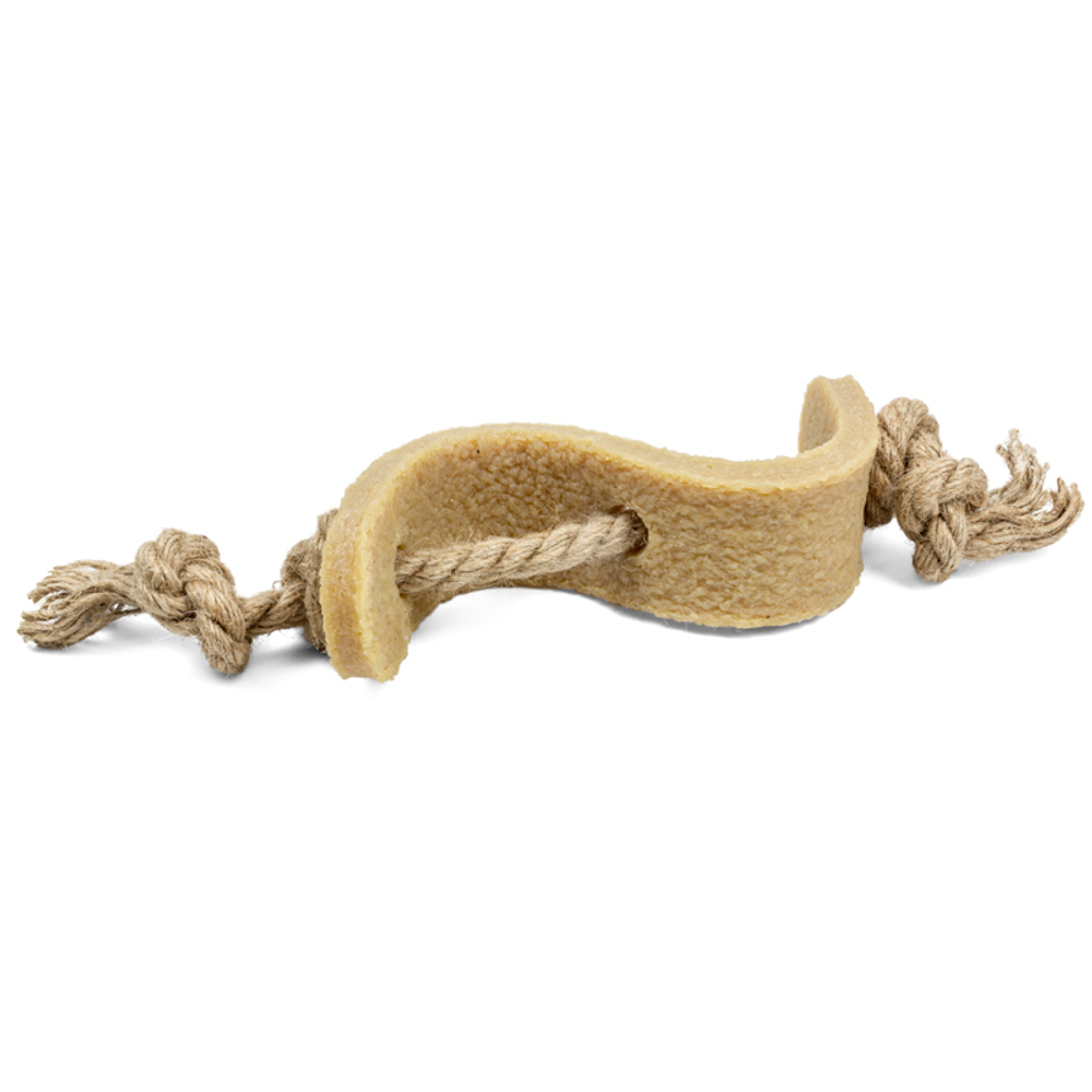75344 Игрушка для собак Доллар из экорезины 13,5см, серия GUM GUM DOG ECO, GiGwi