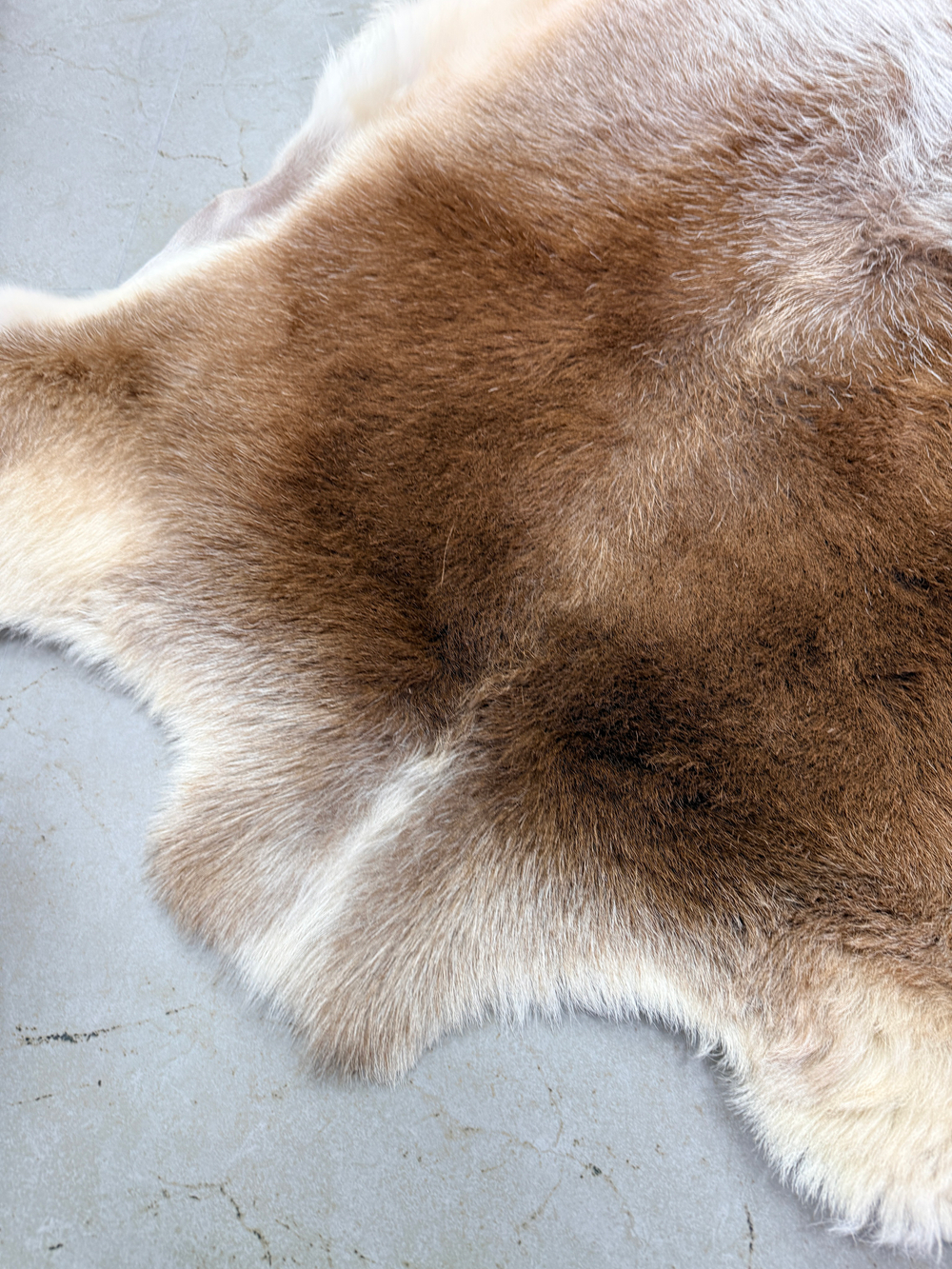 Шкура коврик меховой прикроватный овчина, 120х65 см.