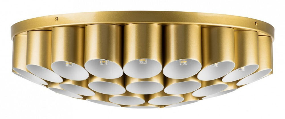 Потолочная люстра Lightstar Siena 720402