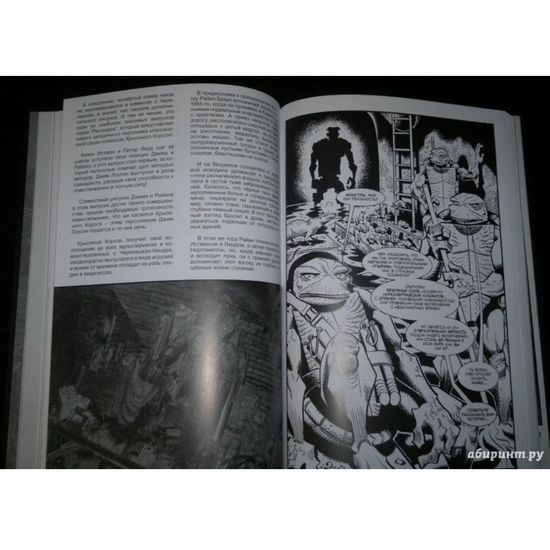 Рассказы о Черепашках-Ниндзя