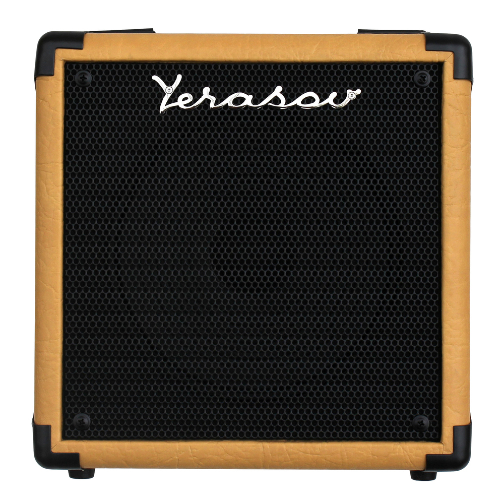 Комбо для гитары Yerasov GAVROSH-8C