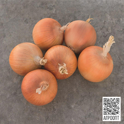 Картье F1 семена лука репчатого (Bejo / Бейо)