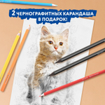 Карандаши цветные BRAUBERG PREMIUM 24 цвета + 2 чернографитных карандаша, трехгранные, грифель 3 мм.