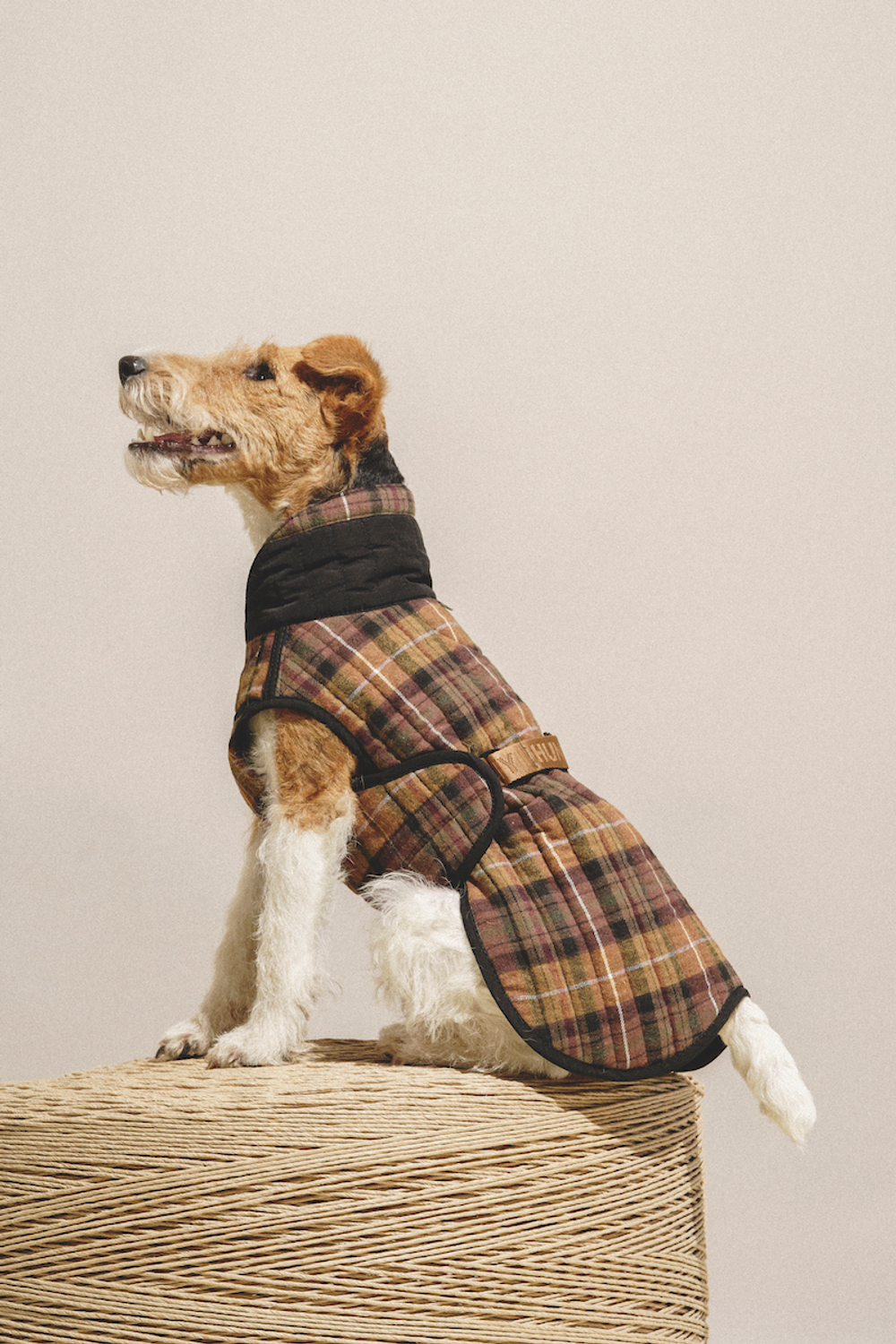 Попона "Пони-Шерлокони"